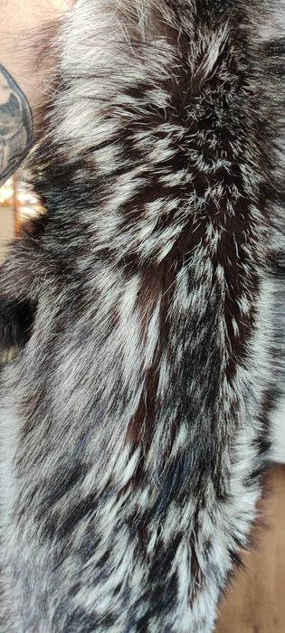 Skóra z Jenota Azjatyckiego 160cm