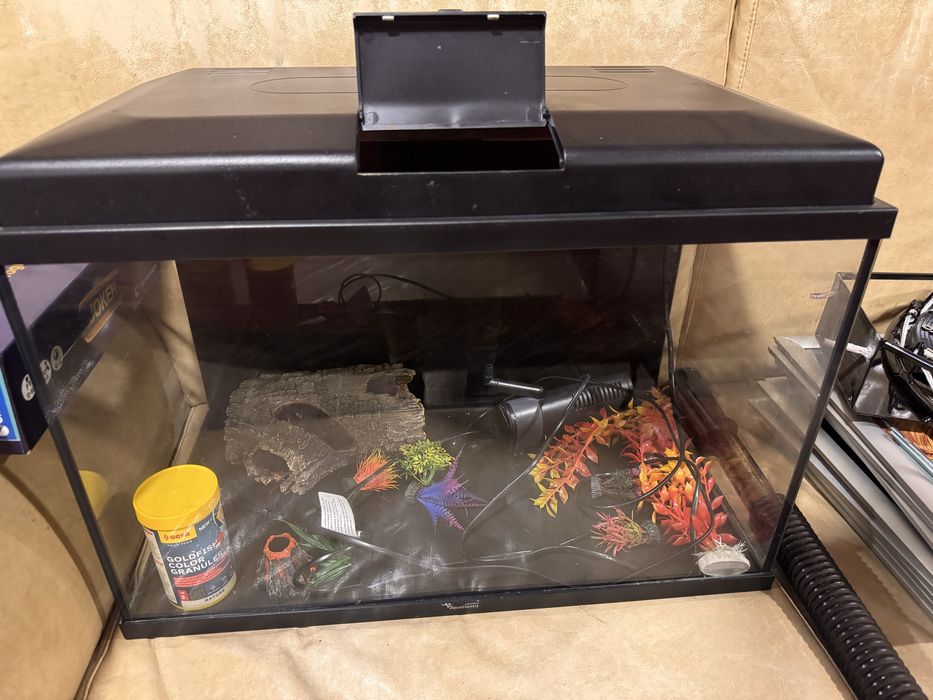 Aquario 60L novo