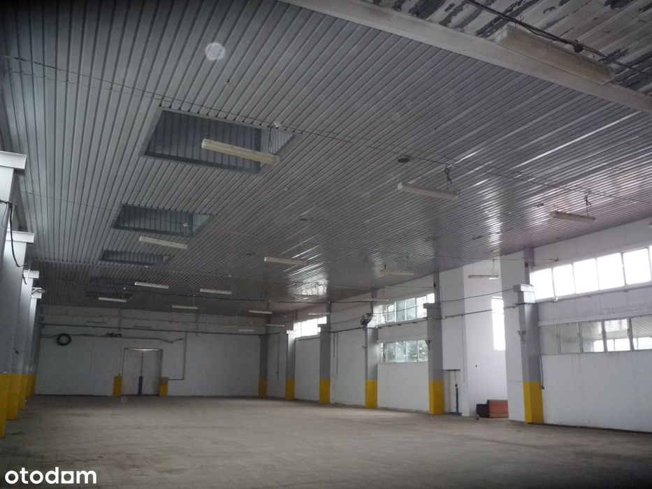 Magazyn blisko węzła S8 Pabianice Południe