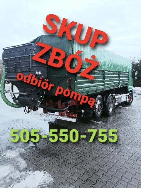 Skup zbóż!!! Pszenżyto, pszenica, jęczmień, żyto, owies