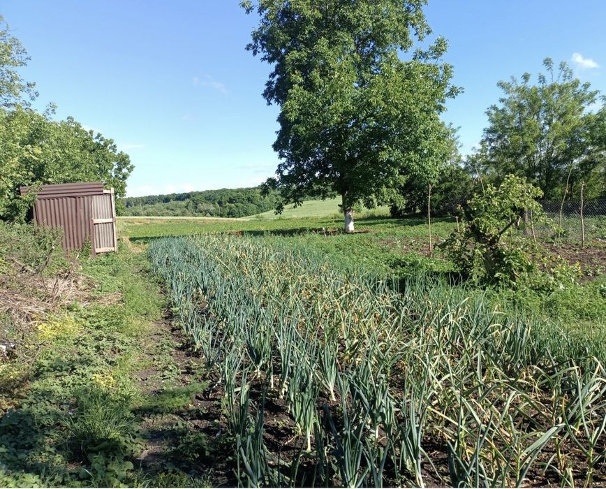 Продам будинок ТЕРМІНОВО ціна договірна