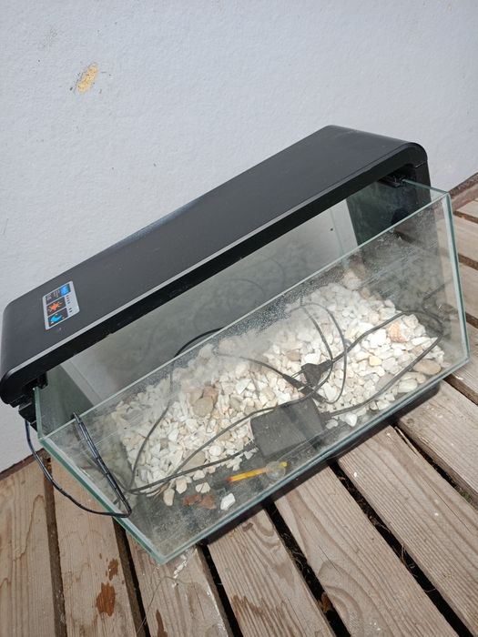 Akwarium z Lampą UV