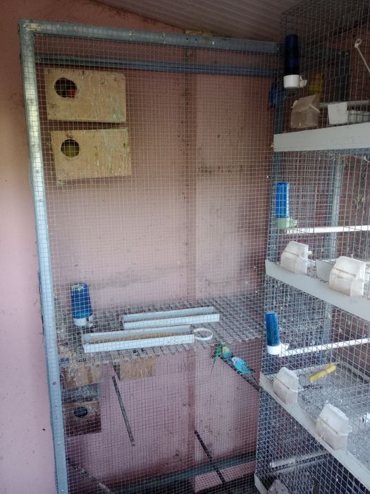 Gaiolas , voadeiras e módulos criação