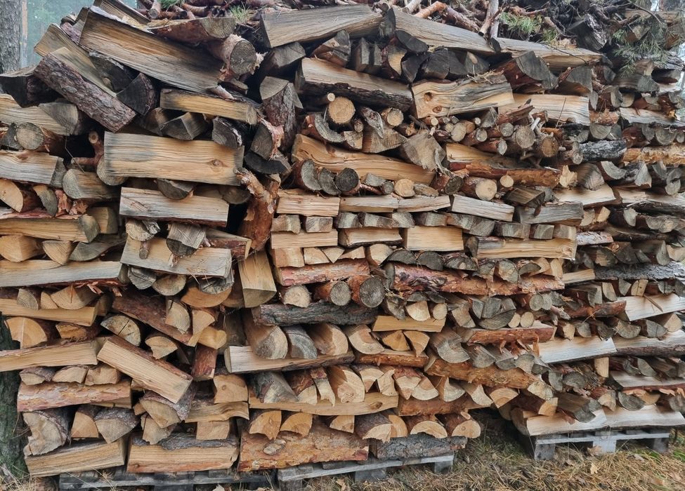 Drzewo opałowe  sosna sezonowane 5 lat