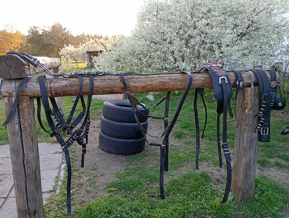 Uprząż konna singiel / pojedynka