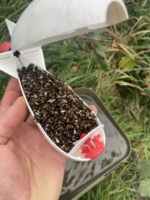 Ненаркотична технічна конопля . Для карпової ловлі. ВРОЖАЙ 2025р