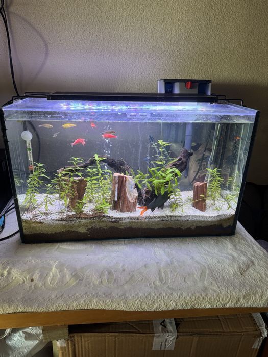 Aquario 45 litros