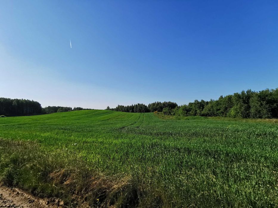 Sprzedam działkę budowlaną