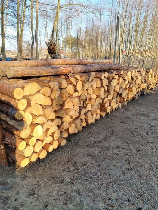 Drewno opałowe suche, sosna, brzoza.