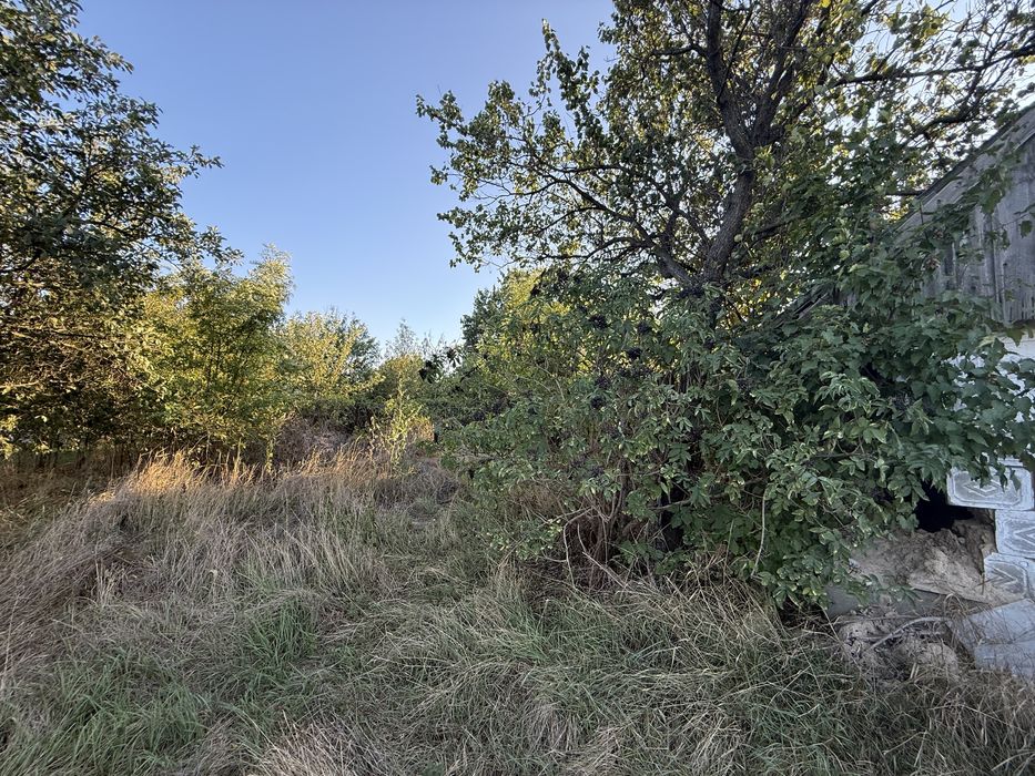 Продам будинок Сурсько-Литовське