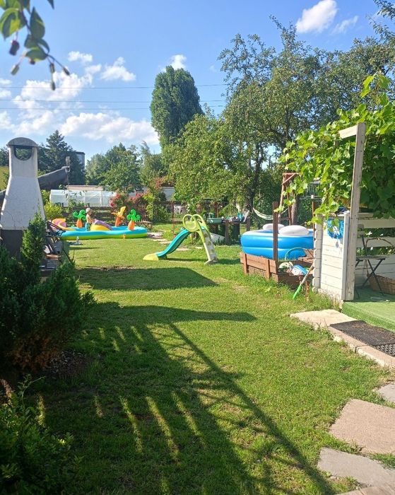 Działka ROD Gdańsk Olszynka NOWA CENA