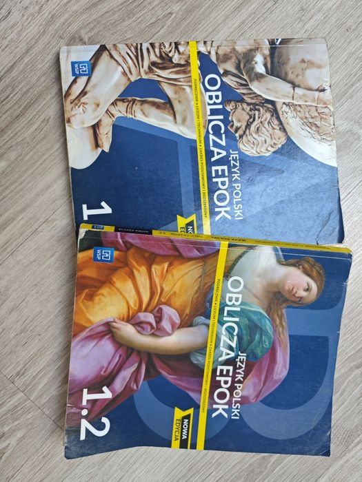 Język polski oblicza epok