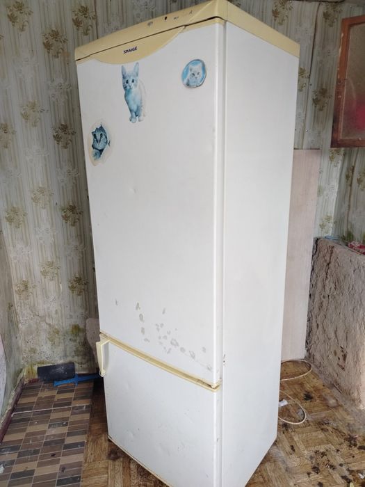 Холодильник snaige кллас А