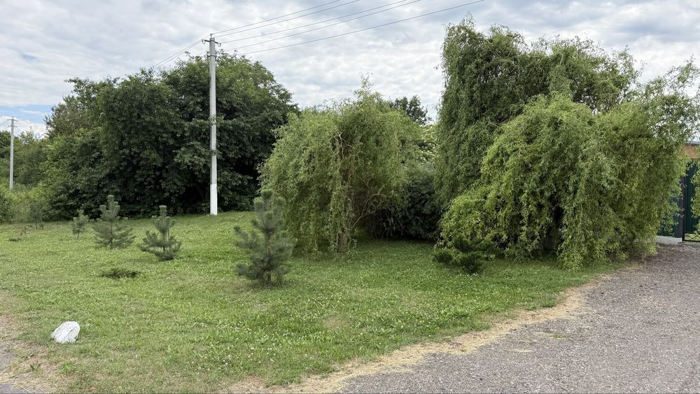 ПРОДАМ хату ,участок,свинарник,дачу, в селі