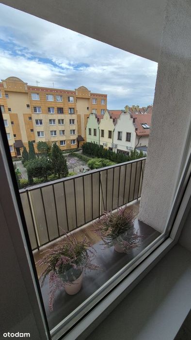 3 Pokoje, 2 piętro, centrum miasta,rynek,niski czynsz!