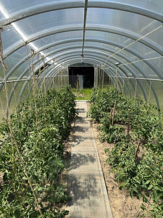 Szklarnia z poliwęglanu 3,5x4 3,5x6 3,5x8 3,5x10 PRODUCENT+DOSTAWA