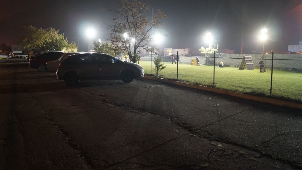 Клуб DogWin Площадка закрытая оборудованая Киев Дрессировка собак