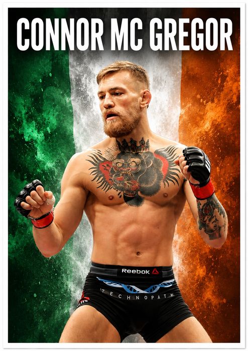 Lote 8 Posters lutadores MMA