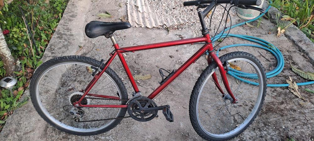 Bicicleta Montanha Esmaltina Vermelha