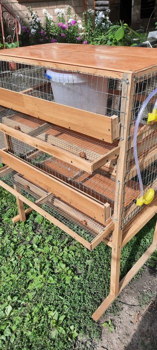 Клетки для перепелов (новый)