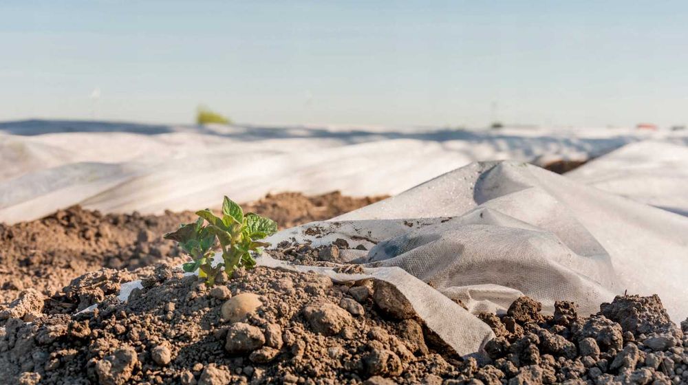 Agrowłóknina biała jesienna wiosenna P23 6,35x100m WB