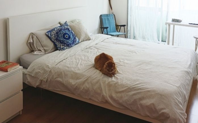 Cama de casal Malm IKEA
