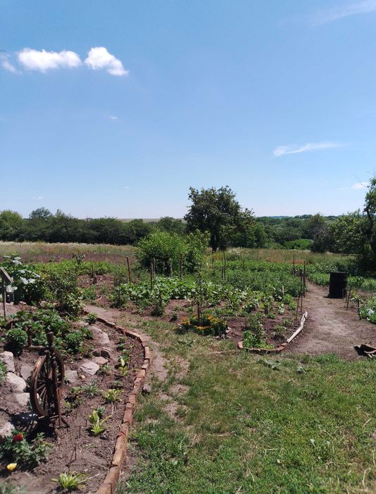 Продаж дачі,село Головківка Чигиринський район, Черкаської області