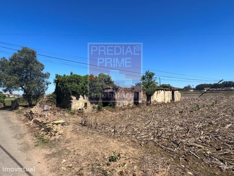 Terreno para construção em Loureiro - Oliveira de Azeméis — Oliveira De Azeméis, Santiago De Riba-Ul, Ul, Macinhata Da Seixa E Madail, Aveiro