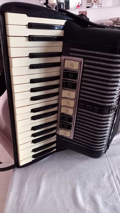 Venda ou troca acordeão honner  sem mochila