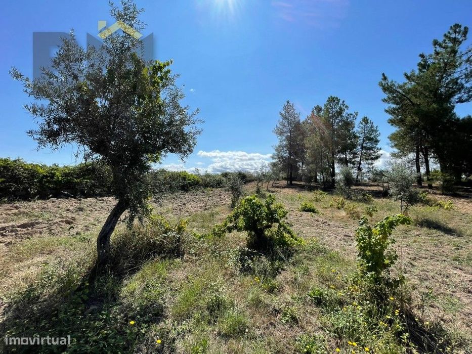 Terreno de 4000m² à Venda em Freixial do Campo