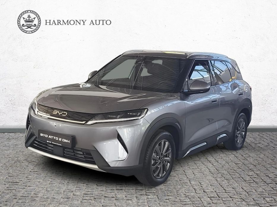 BYD Pozostałe BYD