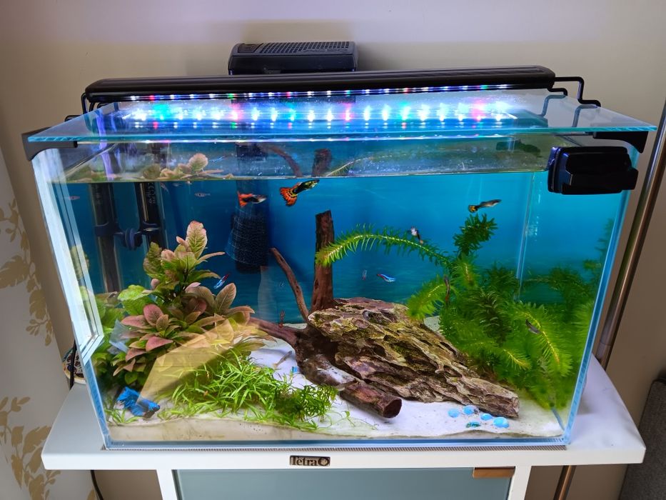 Super akwarium OPTI plus szafka  Tetra