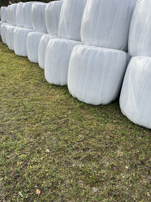 Sianokiszonka baloty bele siano