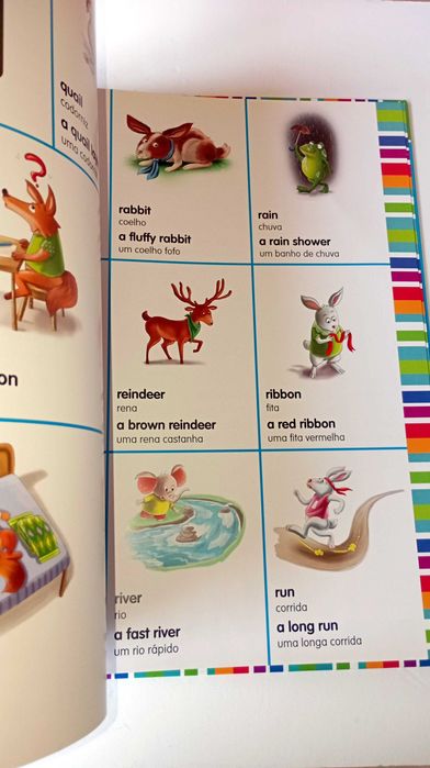 O Meu Primeiro  Dicionário de Inglês - Livro + Cd