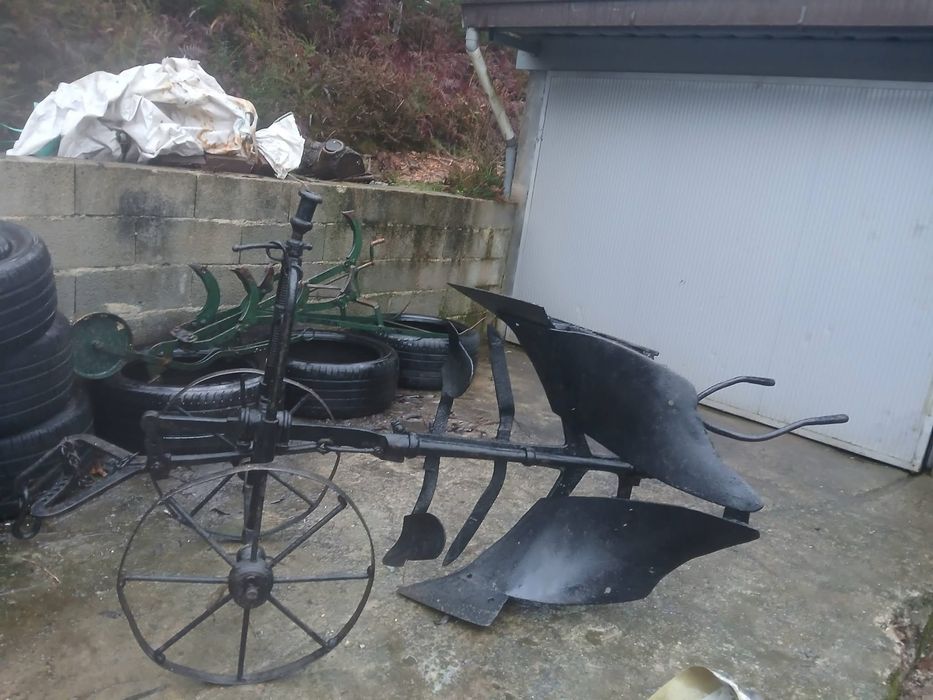 charrua grande antiga ideal para decoração