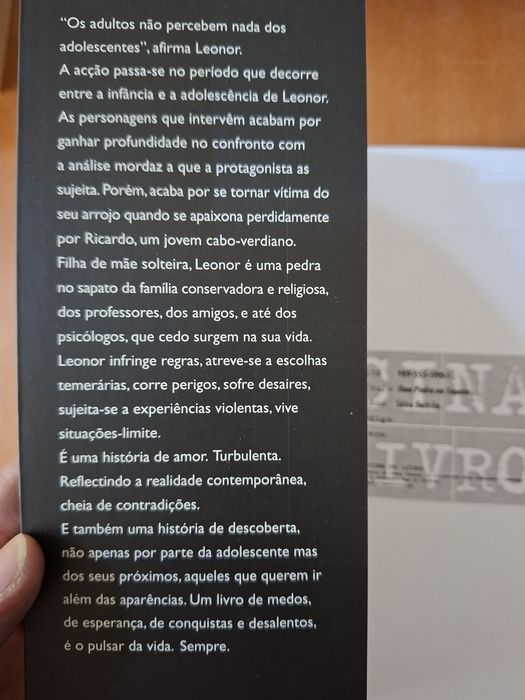 Uma Pedra no Sapato