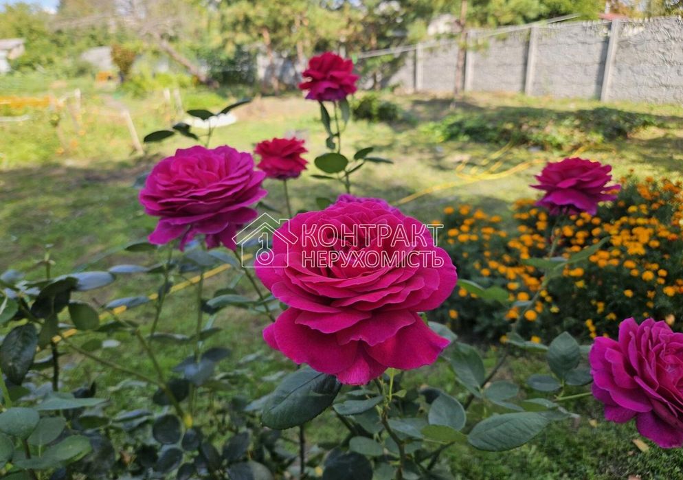 Продаж 1 п. будинку з ремонтом,  Москалівка