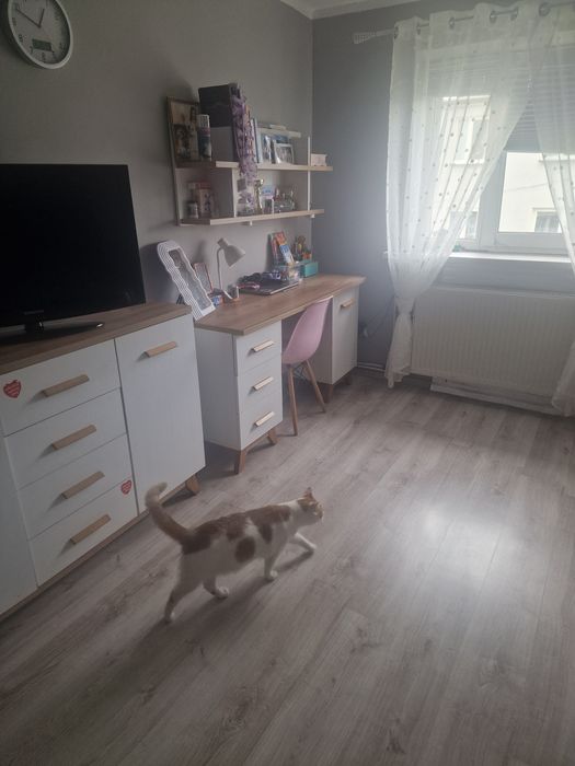 Sprzedam mieszkanie w Runowie