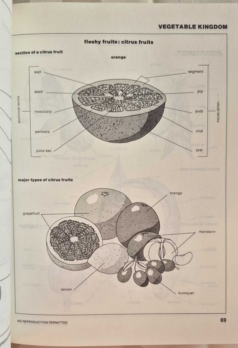 Słownik wizualny język angielski - Visual dictonary the facts on file