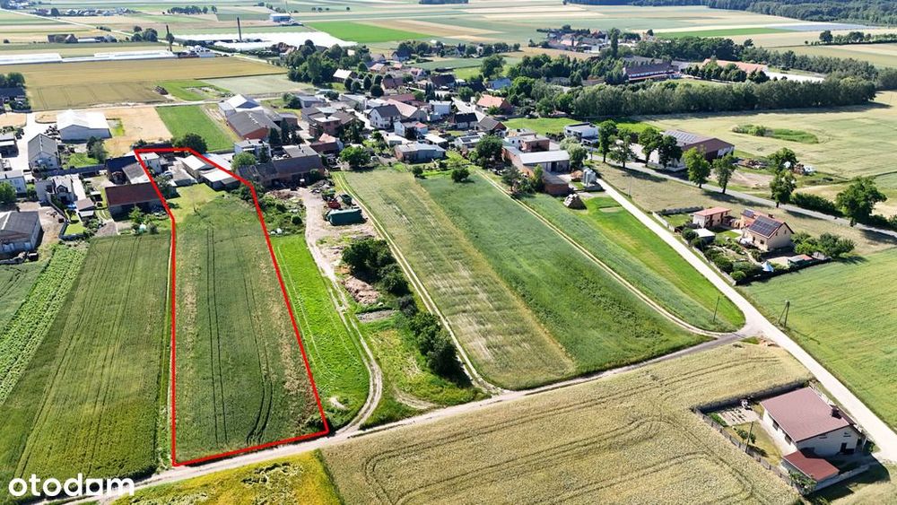 Dom – Zawidowice - Widok 3