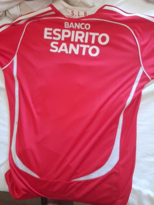 Camisola oficial do Benfica, epoca2006/7, autografada por Luisão, Nuno Gomes, Léo, Quim, katsouranis, Simão Sabrosa, etc.