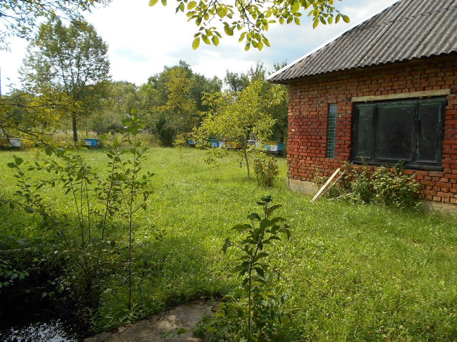 продам будинок(закарпаття)