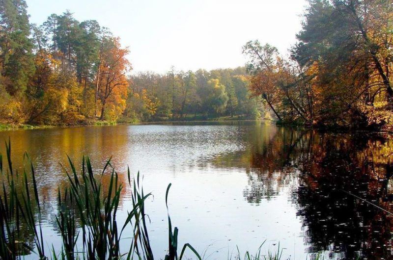 Сдам посуточно в Пуща-Водице 1к. квартиру "студио".