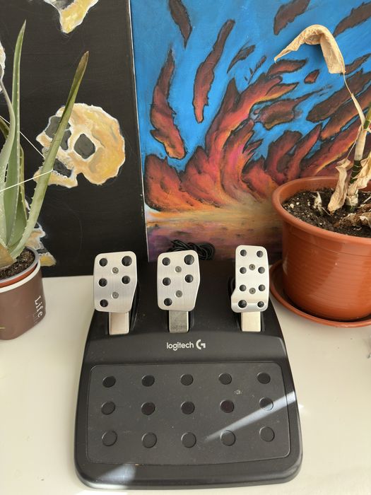 Logitech G920 + 2 Sticks