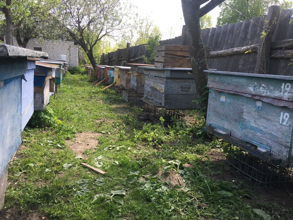 МАЗЬ воскова !!!