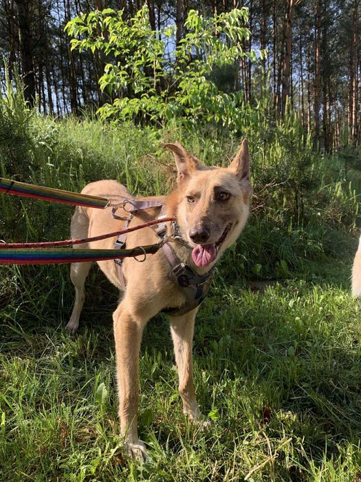 Piękna Meli szuka ludzi o pięknych sercach