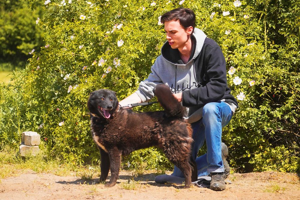 Funia - śliczna sunia