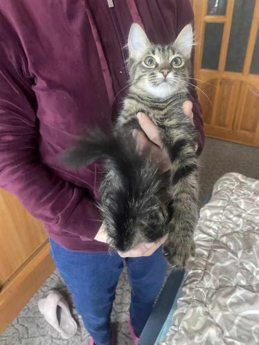 Лучший родарочек