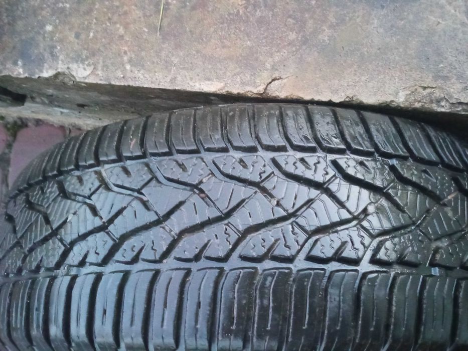 Шини зимові Barum 195/65 R 15