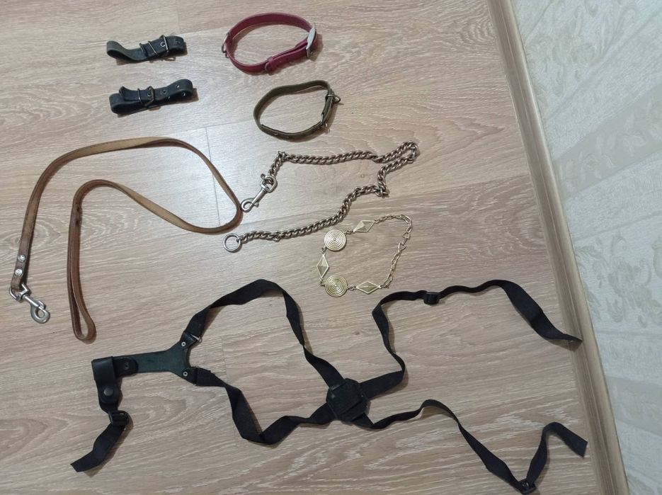 Поводок.Ошейник .Повідець. Нашийник. Шлейка.